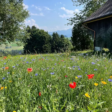 Berghuesli Heiterswil Wattwil