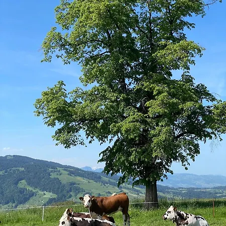 Berghuesli Heiterswil